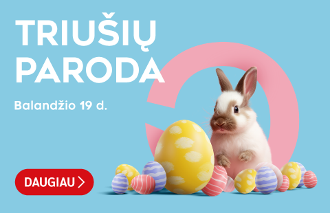 Triušių paroda